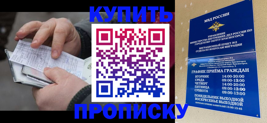 временная регистрация недорого в Михайловке